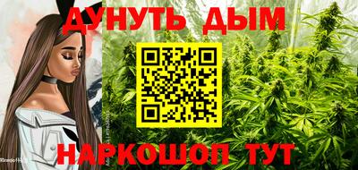 гидропоника Обь